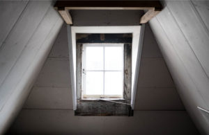 A common place for mold growth is the attic