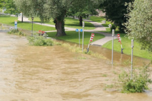 Remove all water from your home to prevent mold after a flood. 