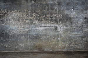 Mold growth can be commonly found in the basement