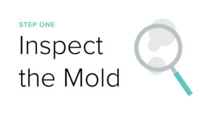 Inspect the Mold