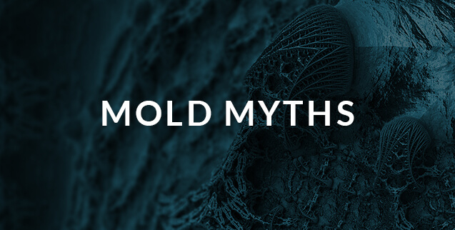 Mold myths