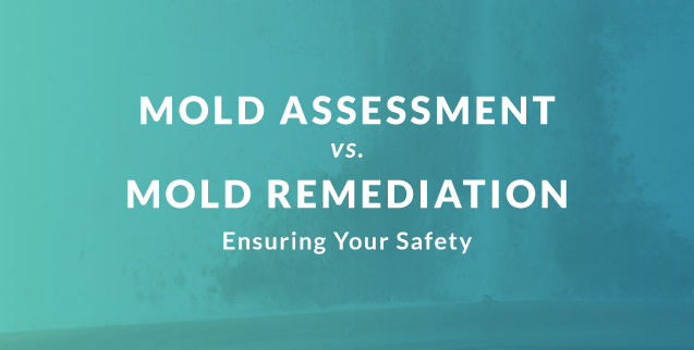 Mold Assessment and Mold Remediation