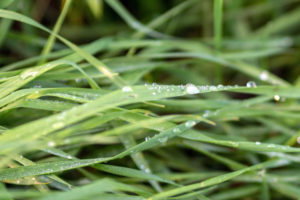 Summer humidity can cause mold in your crawl space