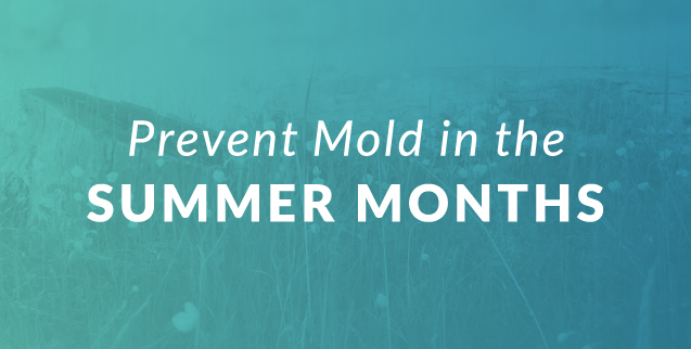 3 Steps to Prevent Mold Growth in the Summer