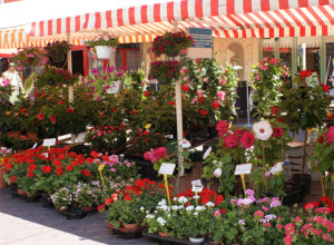 Avoid flower shops if you have a mold allergy
