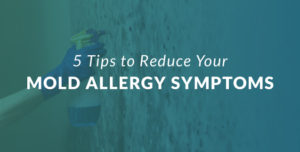 5 Tips to Reduce Your Mold Allergy