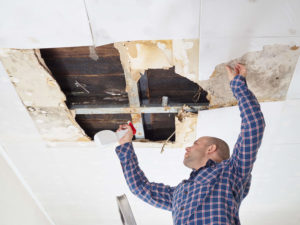 unlicensed mold remediation company