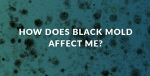 How Does Black Mold Affect Me?