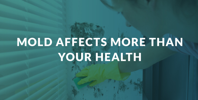 mold effects on health