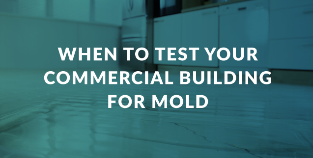 When to Test Your Commercial Building for Mold