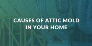 Causes of Attic Mold in Your Home
