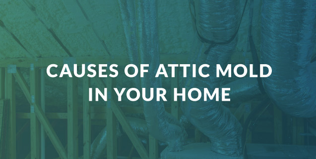 Causes of Attic Mold in Your Home
