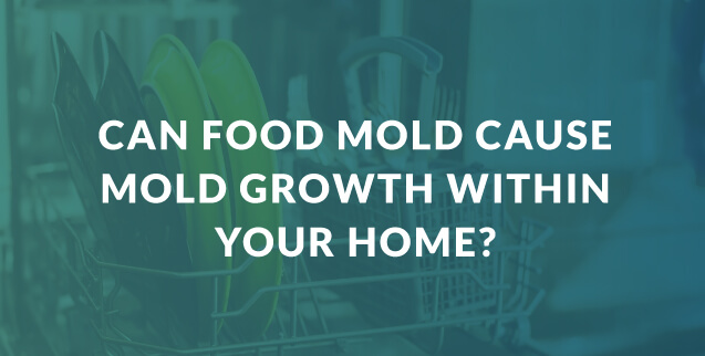 Can Food Mold Lead to Mold Growing in Your House?