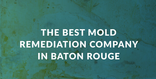 The Best Mold Remediation Company in Baton Rouge