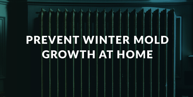 Prevent Winter Mold Growth at Home