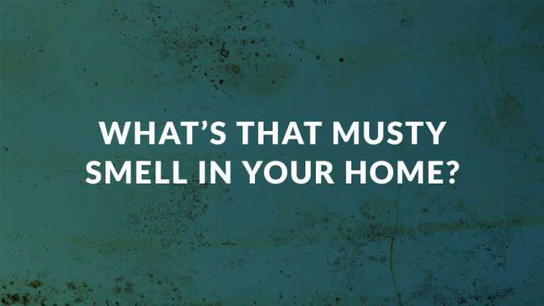 musty-smell-in-your-home-here-s-what-it-could-be-clear-restore