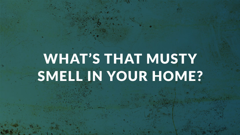 What's that Musty Smell in Your Home?