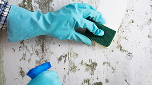A person using vinegar and baking soda to clean up mold.