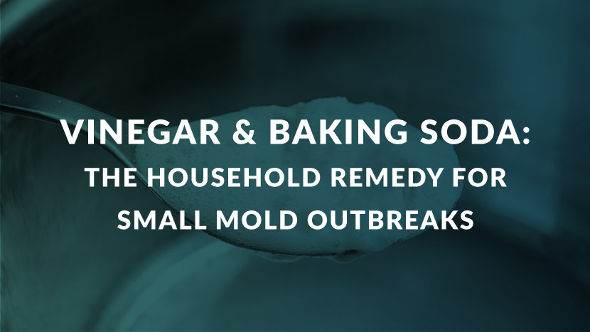 Cleaning mold with vinegar deals and baking soda