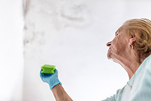 Woman cleaning up mold after a leaking roof. 