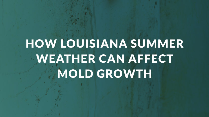 How Louisiana Summer Weather can Affect Mold Growth