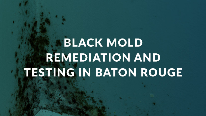 Black Mold Remediation and Testing in Baton Rouge