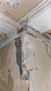 Image of mold covering wall