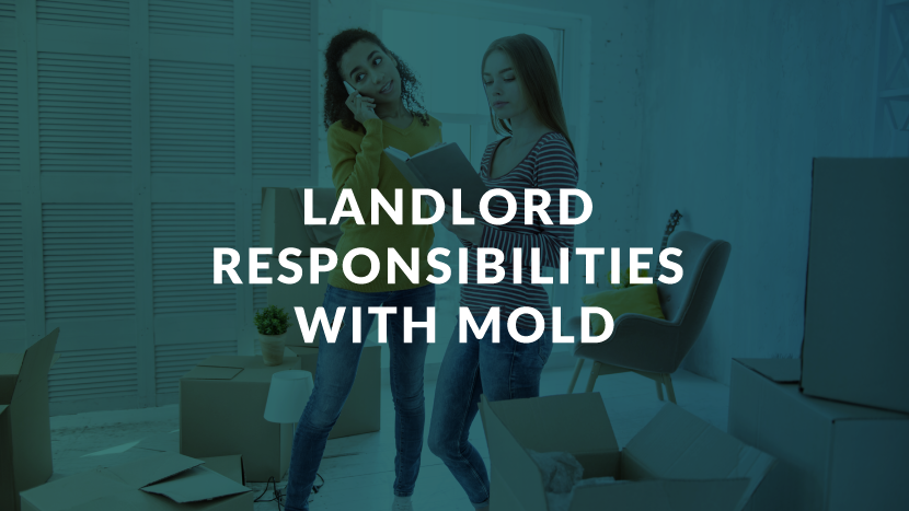 Landlord Responsibilities with Mold