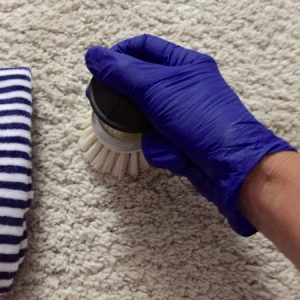 Gloved hand using brush to spot clean carpet mold