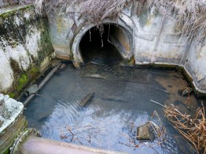 Sewage needed to get cleanup