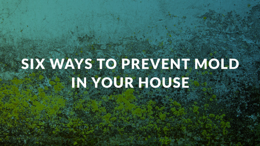 Six Ways to Prevent Mold in Your House