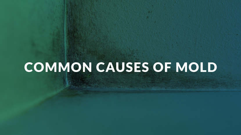 Common Causes of Mold