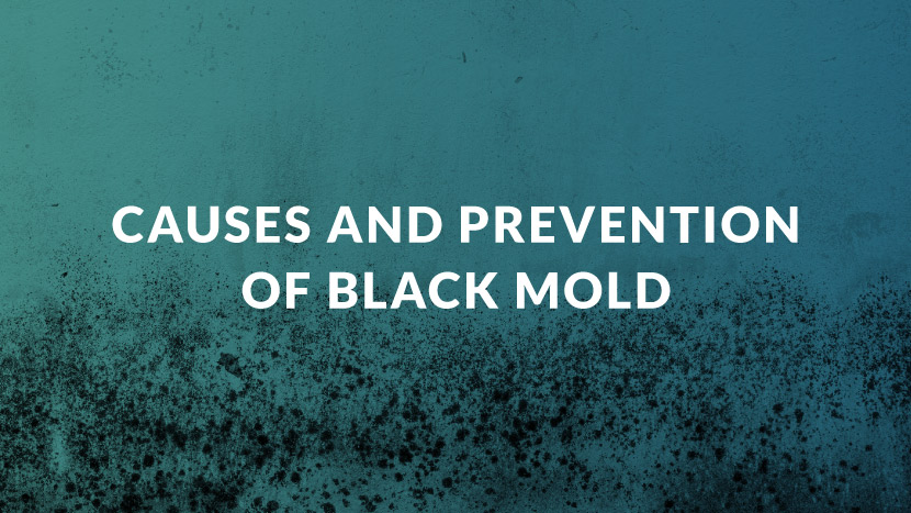 Black Mold In Your Home? Causes, Symptoms, Prevention