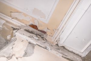 Leak in home causing water damage