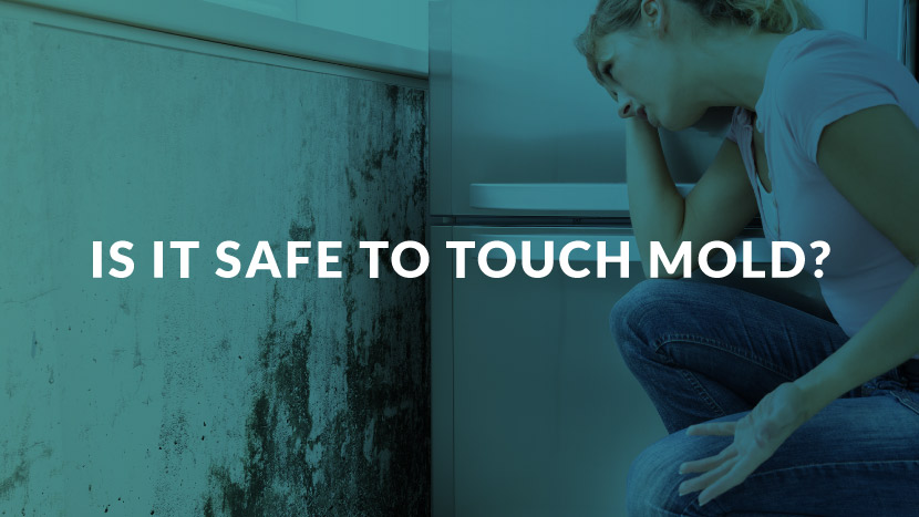 Is it safe to touch mold