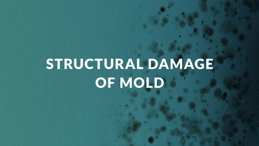 structural damage of mold