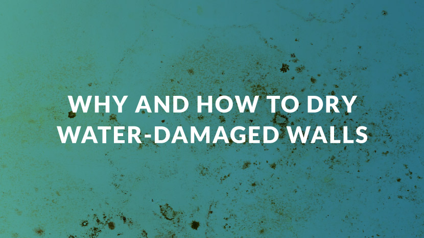 Why & How to Dry Water-Damaged Walls