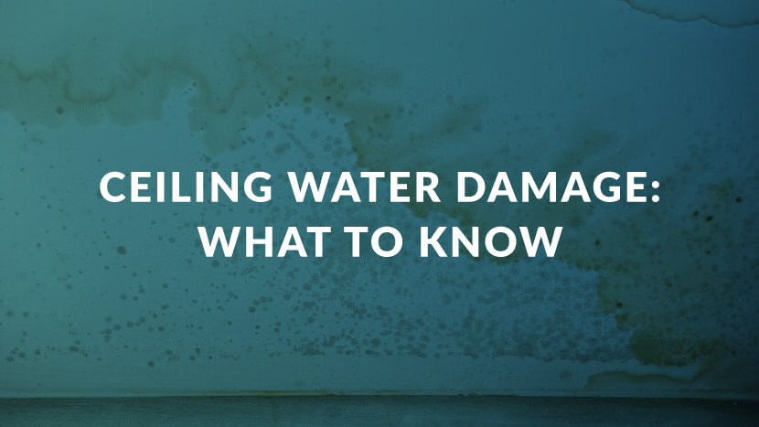 Ceiling Water Damage: What To Know