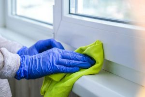 Cleaning mold on windowsills