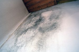 Floor discoloration caused by hidden water damage
