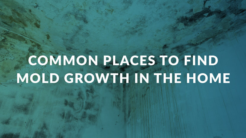 Common Places To Find Mold Growth In The Home