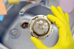 Mold in drain as sign of mold in pipes