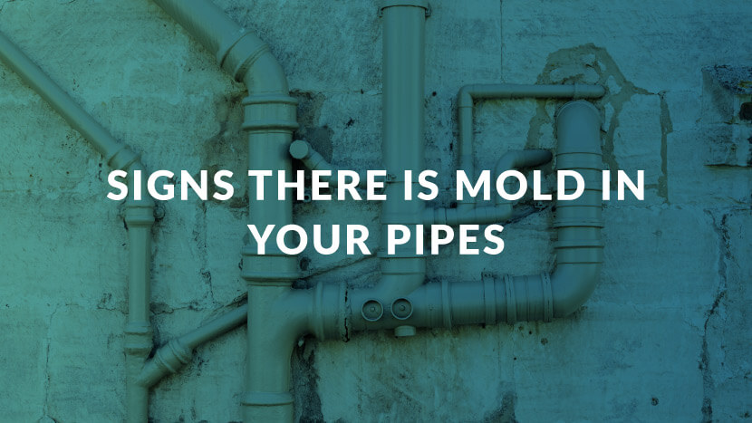 Signs There is Mold in Your Pipes