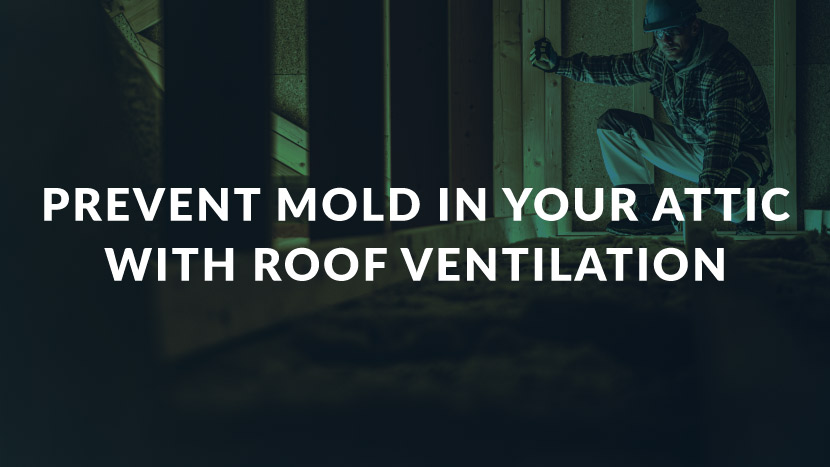 Prevent Mold In Your Attic With Roof Ventilation