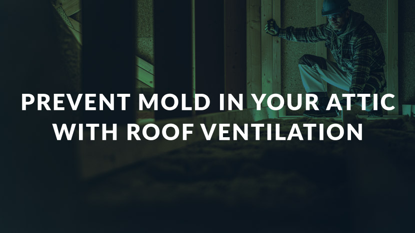 Attic Mold Prevention  How Does Roof Ventilation Work?