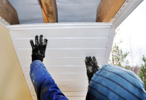 Mold remediation expert doing attic mold prevention