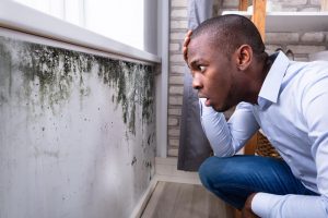 Man looking at mold that came back after remediation