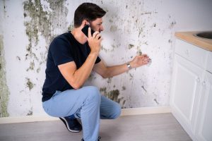 a guy on the phone next to a moldy wall talking to a mold remediation company