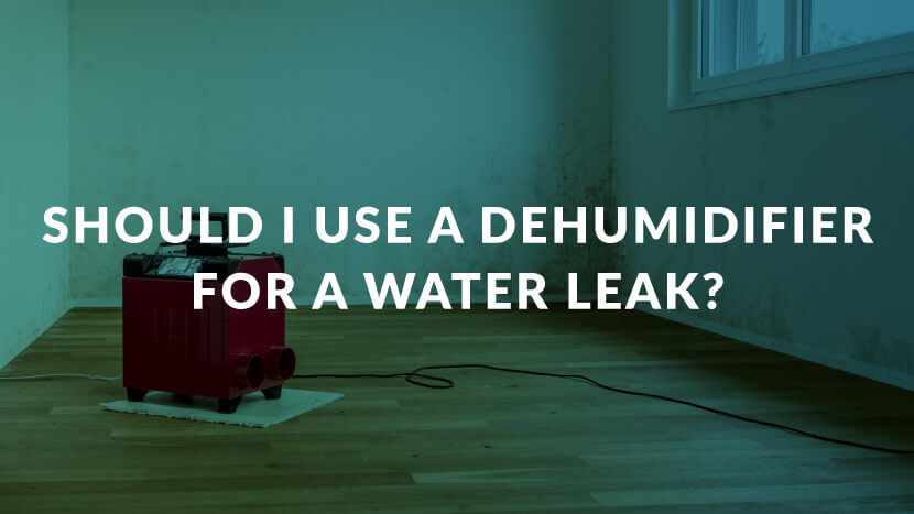 Should I Use a Dehumidifier for a water leak?