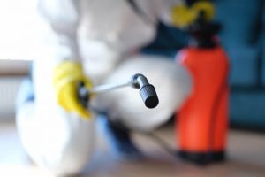 mold remediation equipment being held by a professional